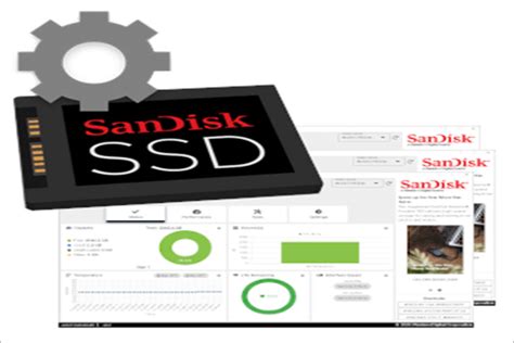 Look! WD SanDisk SSD Dashboard Overview and Best Alternative - MiniTool ...