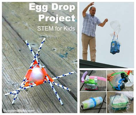 STEM for Kids: Egg Drop Project | Egg drop project, Stem for kids, Stem activities