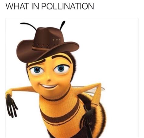 Bee Movie Meme Template