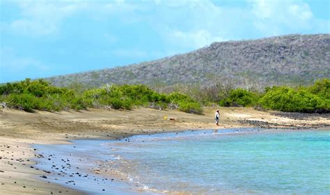 Floreana Island, Galapagos Island by Andean Discovery