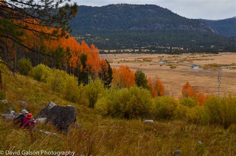 David and Diane Travel Blog: Hope Valley, CA Fall Colors