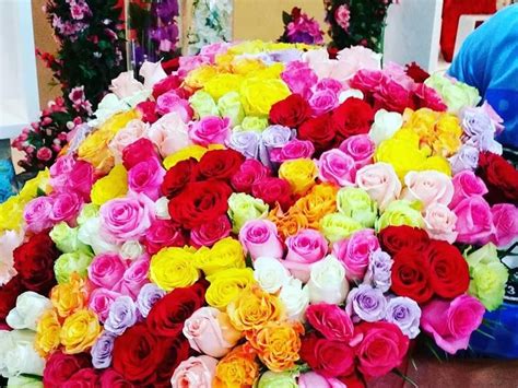 Uae flowers delivery | Flower delivery, Fresh flowers arrangements, Online flower shop