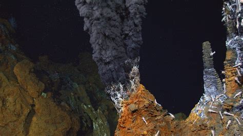 Hydrothermal Vents Archives — Curiosmos