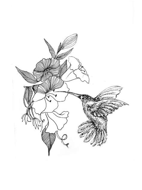 humming bird flying and eating honey pen drawing | Bird drawings, Bird sketch, Hummingbird drawing