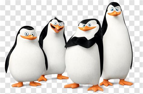 Kowalski Skipper Penguin Madagascar Film - Pinguin Transparent PNG