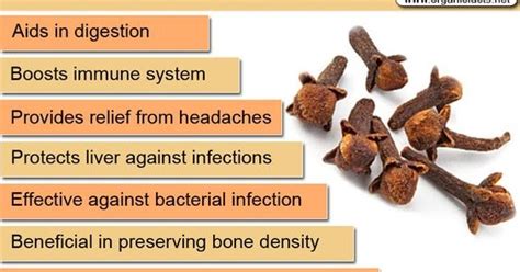 Health Benefits Of Clove