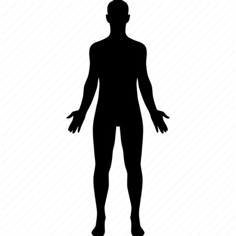 Human Body Diagram Png