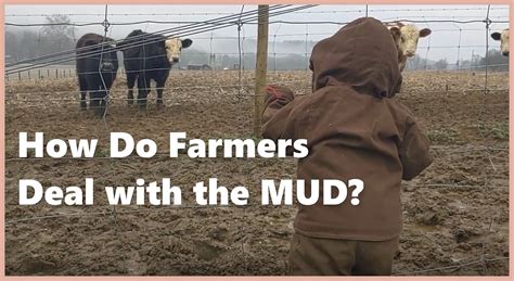 What kind of farm do we have? A MUD FARM.