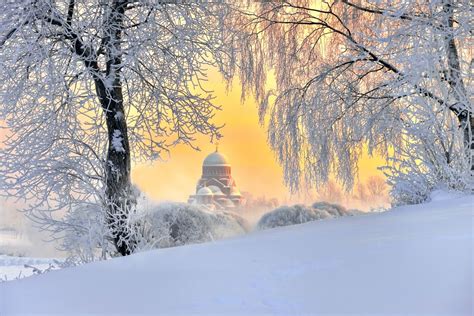 Hiver Saint-Pétersbourg Russie Neige Arbres Nature | Photo hiver, Paysage de neige, Paysage hiver