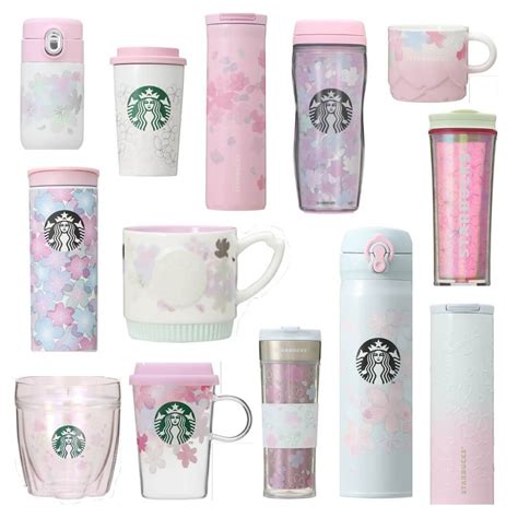 Starbucks Tumbler 2024 Spring - Fae Kittie