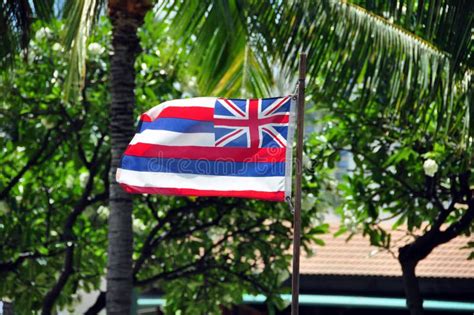 Hawaiian Flag Stock Images - Image: 14613664