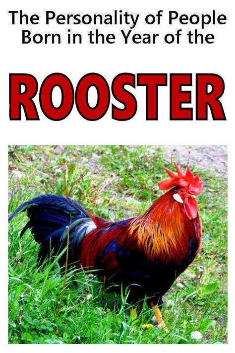 Year of the Rooster - Personality of People Born in the Year of the Rooster