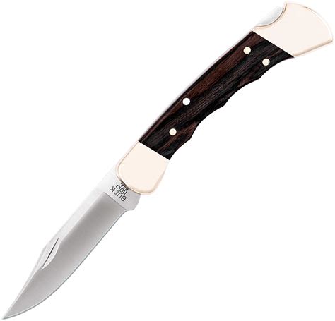 Buck 110 Knife – KnifeGenie.com