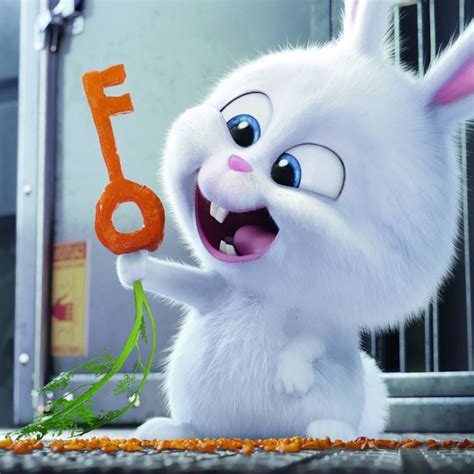 Cute Rabbit Snowball Wallpaper from The Secret Life of Pets