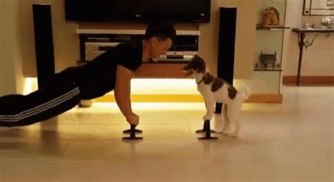 The Best Kind Of Workout Buddy GIF - Dog Dogs Aww - Discover & Share GIFs