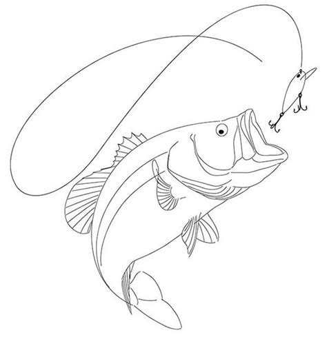 Bass Fish Profile Coloring Pages