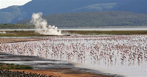 6 beautiful lakes found at the floor of Rift Valley that you need to add on your bucket list ...