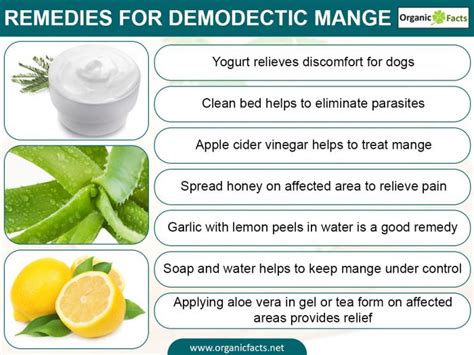 9 Effective Home Remedies for Demodectic Mange | Organic Facts