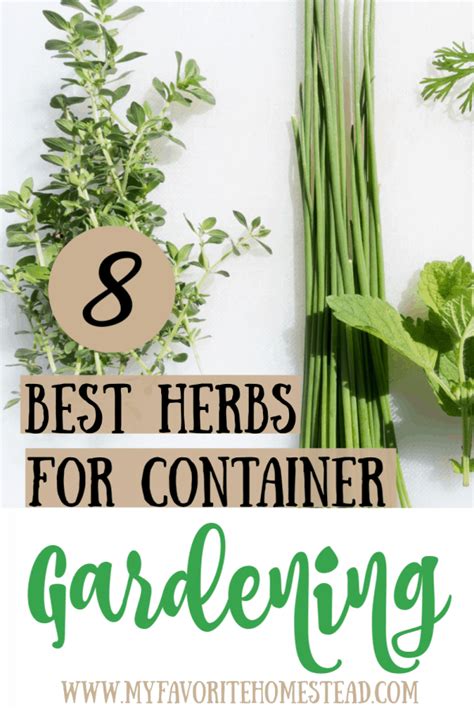 Herb Container Gardening - My Favorite Homestead