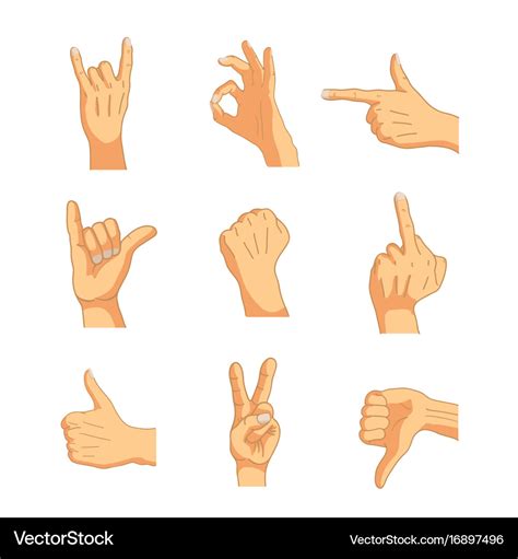 Common cartoon hand signs isolated on white Vector Image