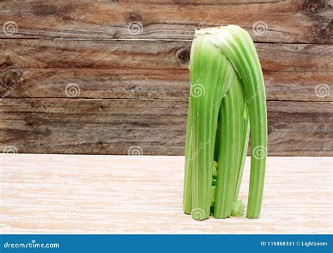 Celery Stalk stock image. Image of shot, panel, surface - 115888331