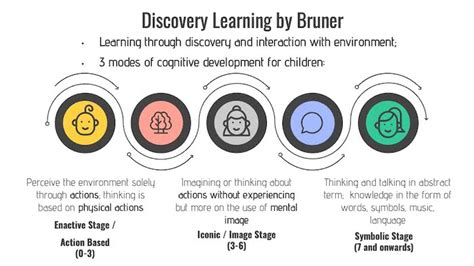 Jerome Bruner's Theories