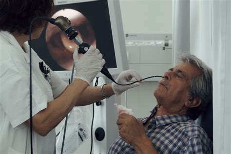 What You Need To Know About Nasoendoscopy - Facty Health