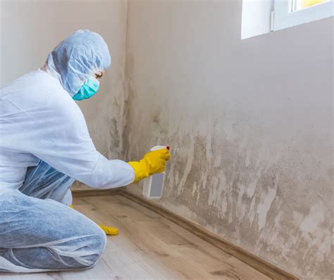 How To Clean Mold In Basements