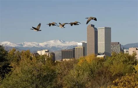 Roam: Pet friendly places in Denver, Colorado