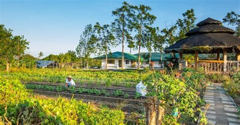 Things to consider when you transform your farm into a tourism site – Getaway.PH