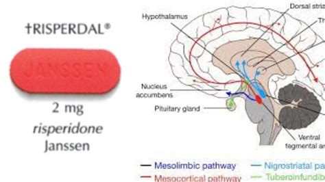 Risperdal (Risperidone) - How it Works, Why it's Used, and Side Effects ...