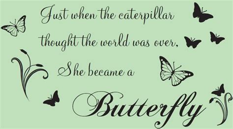 Caterpillar To Butterfly Quotes. QuotesGram