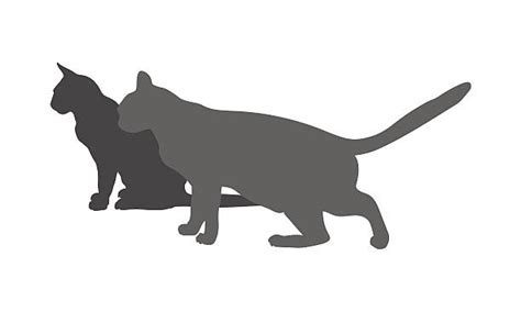 Silhouette Of Cat Lying Down Illustrations, Royalty-Free Vector Graphics & Clip Art - iStock