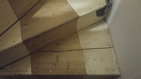 carpentry - Stair tread damage - repairable/replaceable? (photo) - Home Improvement Stack Exchange