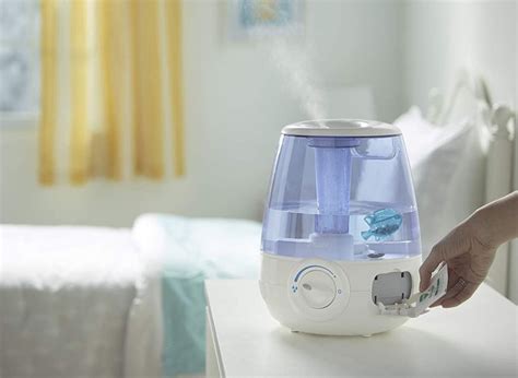 5 Best Vicks Humidifiers Reviewed in Detail (Winter 2024)