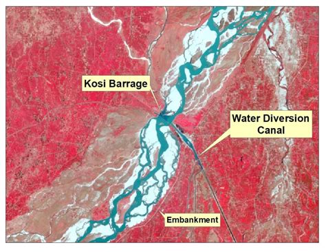 The Kosi River - Life is meaningless without Information