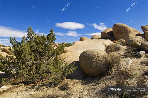 Rocky terrain with stones and tress — picturesque, scene - Stock Photo ...