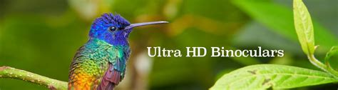 Ultra HD Binoculars - Shop the best binoculars for bird watching!