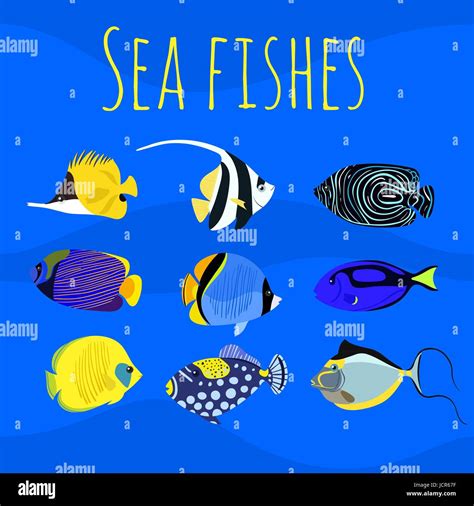 Discus fish juvenile Stock Vector Images - Alamy