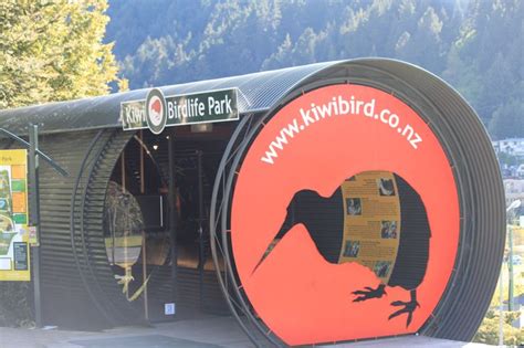 the Kiwi Birdlife Park - Queenstown | Queenstown new zealand, Queenstown, Park