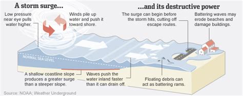 NY Sea Grant | NYSG: NYC (News - Superstorm Sandy and the Discussion from SBU Experts that ...