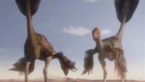 A pair of Gigantoraptor dinosaurs one of the largest feathered animals ...