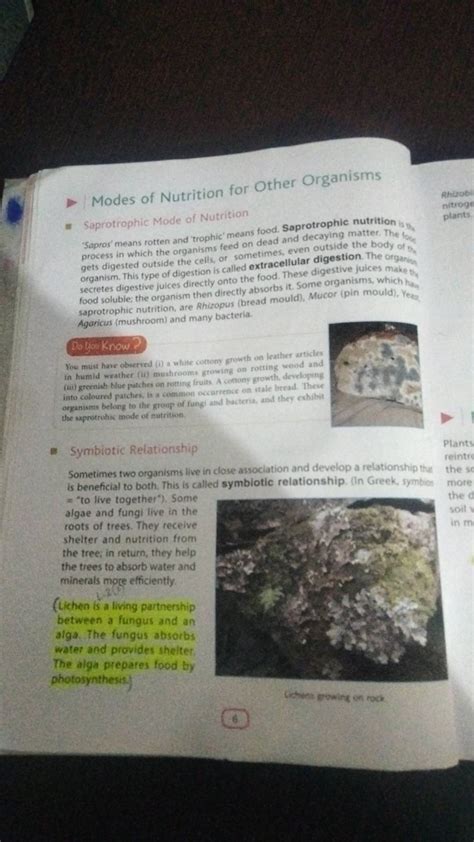 Modes of Nutrition for Other Organisms ☐ Saprotrophic Mode of Nutrition..