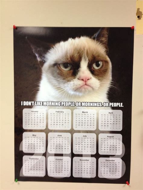 Pin on Cats =^..^= Grumpy Cat