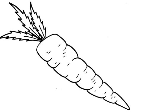 Carrot Coloring Page Coloring Pages