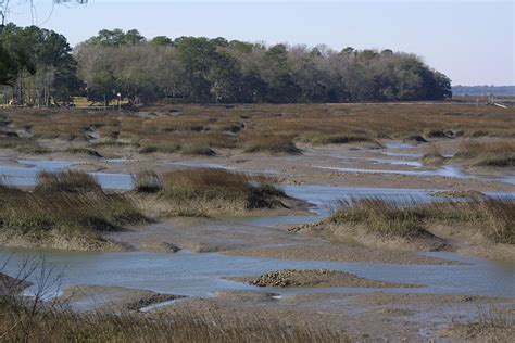 Pluff Mud Photograph by Jean Wolfrum | Fine Art America