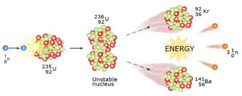 Nuclear Reaction - QS Study