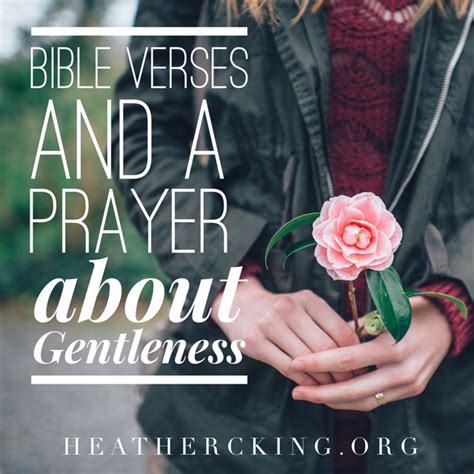 Bible verses and a Prayer About Gentleness – Heather C. King – Room to Breathe