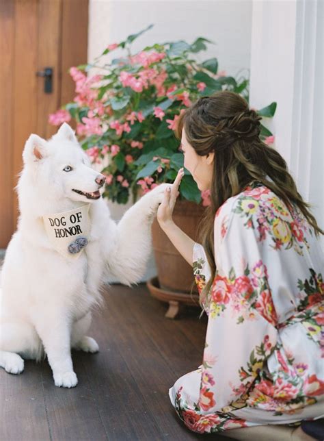 See Why These Iconic Lavender Fields Never Ever Get Old | Dog bridal ...