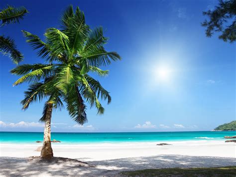 🔥 Download Sunny Beach Wallpaper by @mvelez | Sunny Beach Wallpapers, Sunny Beach Wallpapers ...